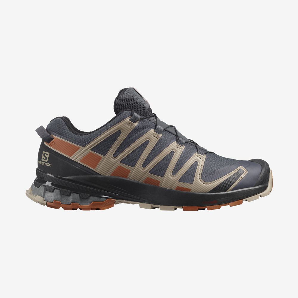 Chaussures De Trail Running Salomon Homme Multicolore - Salomon XA PRO 3D V8 GORE-TEX - France (9815